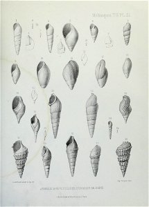 n176_w1150