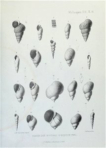 n146_w1150