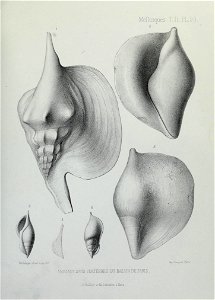 n294_w1150