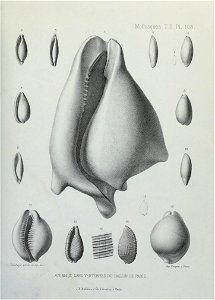 n324_w1150