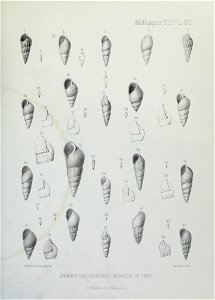n174_w1150