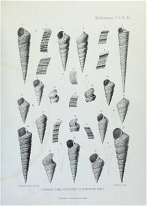 n144_w1150