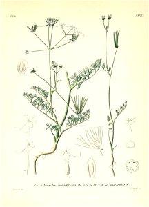 n494_w1150