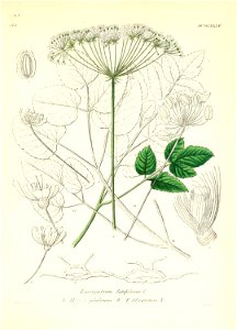 n404_w1150