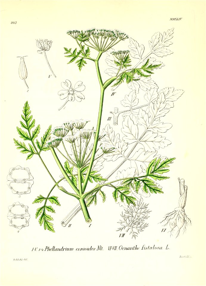 n522_w1150