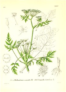 n522_w1150