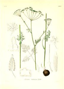 n462_w1150