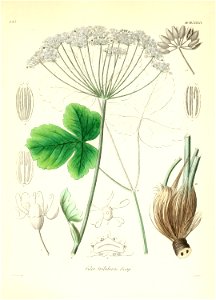 n402_w1150