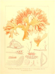 n58_w1150