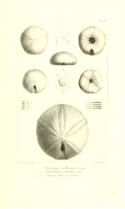 n22_w1150
