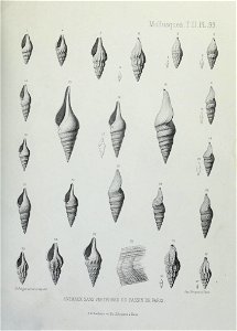 n312_w1150