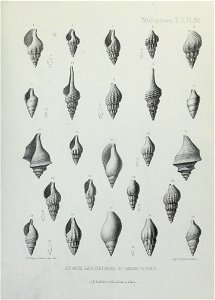 n282_w1150