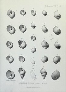 n252_w1150