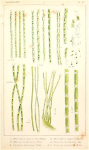 n112_w1150