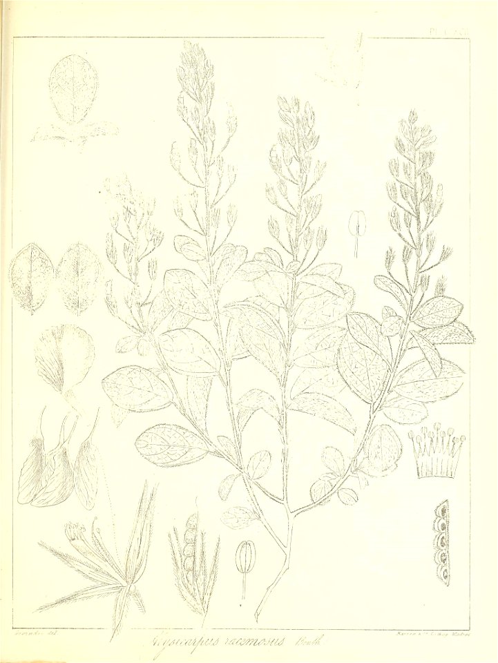 n664_w1150