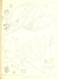 n532_w1150