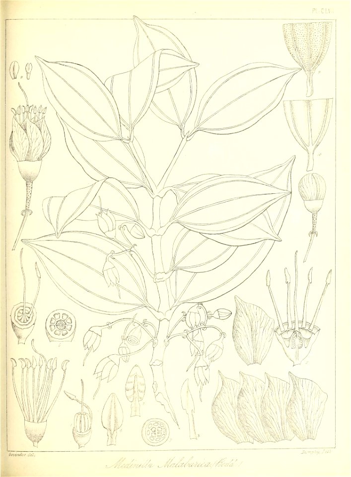 n358_w1150