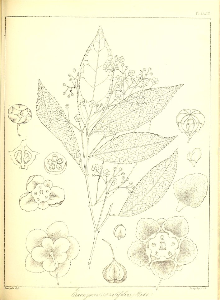 n392_w1150