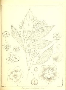n392_w1150
