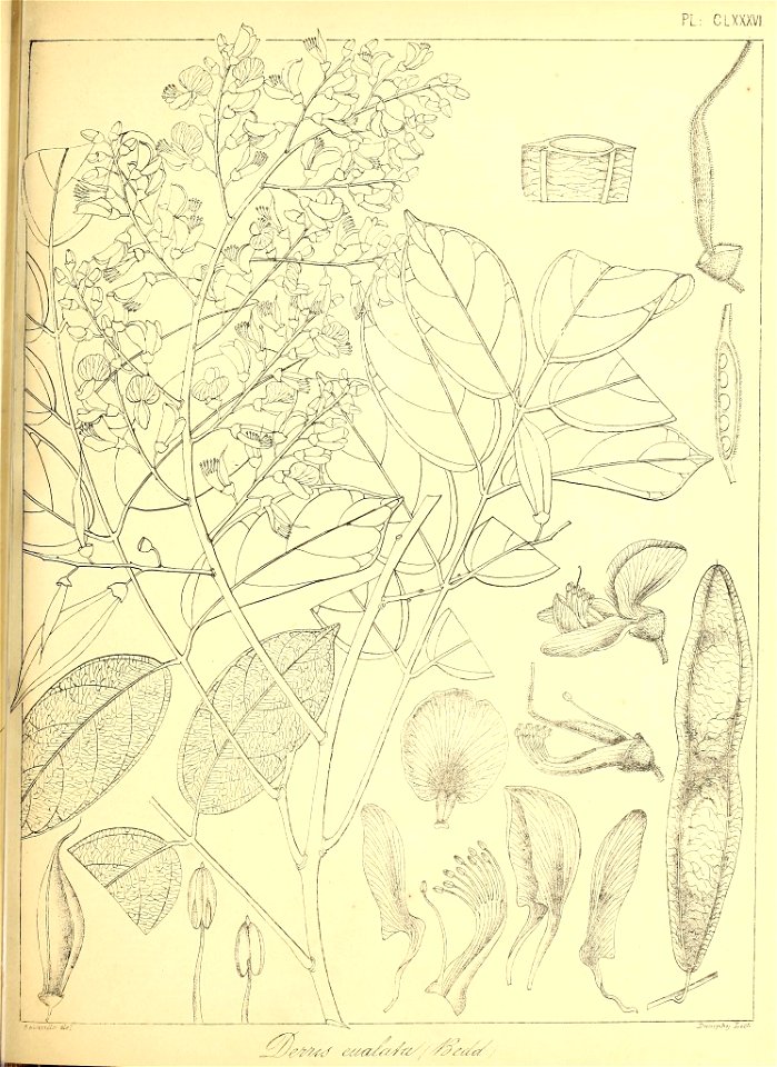 n428_w1150