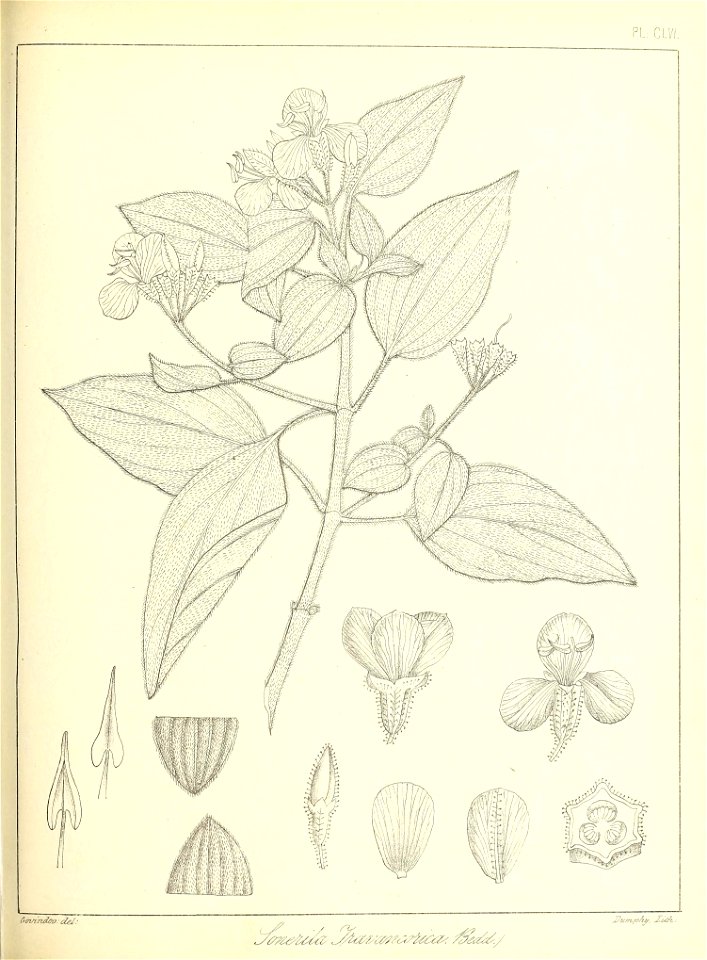 n356_w1150