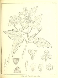 n356_w1150