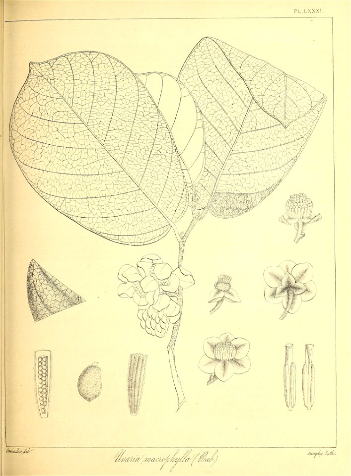 n192_w1150
