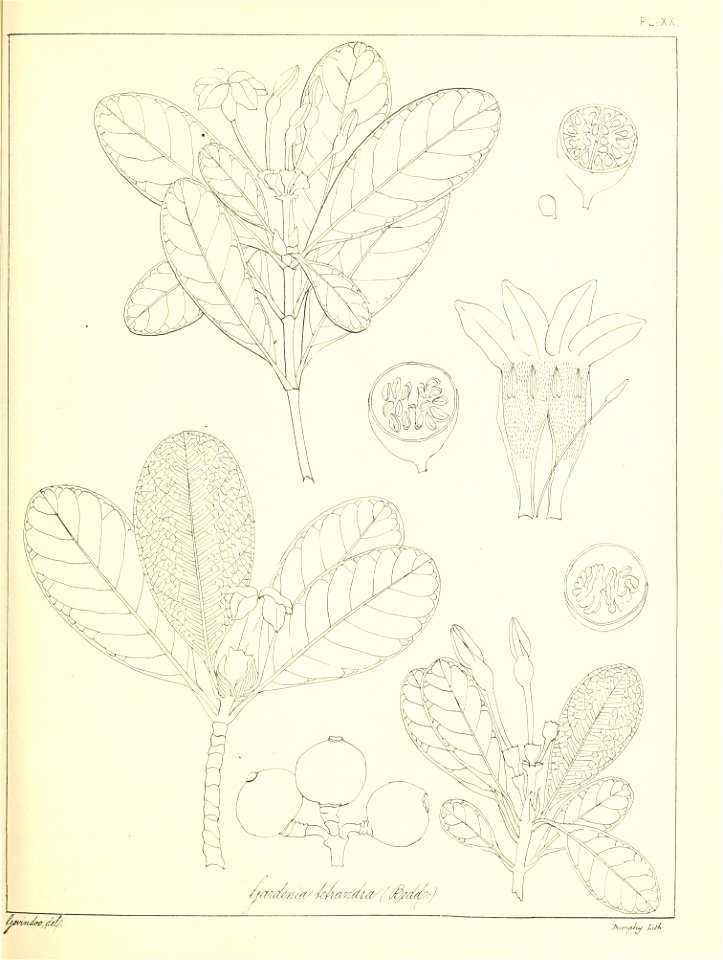 n56_w1150