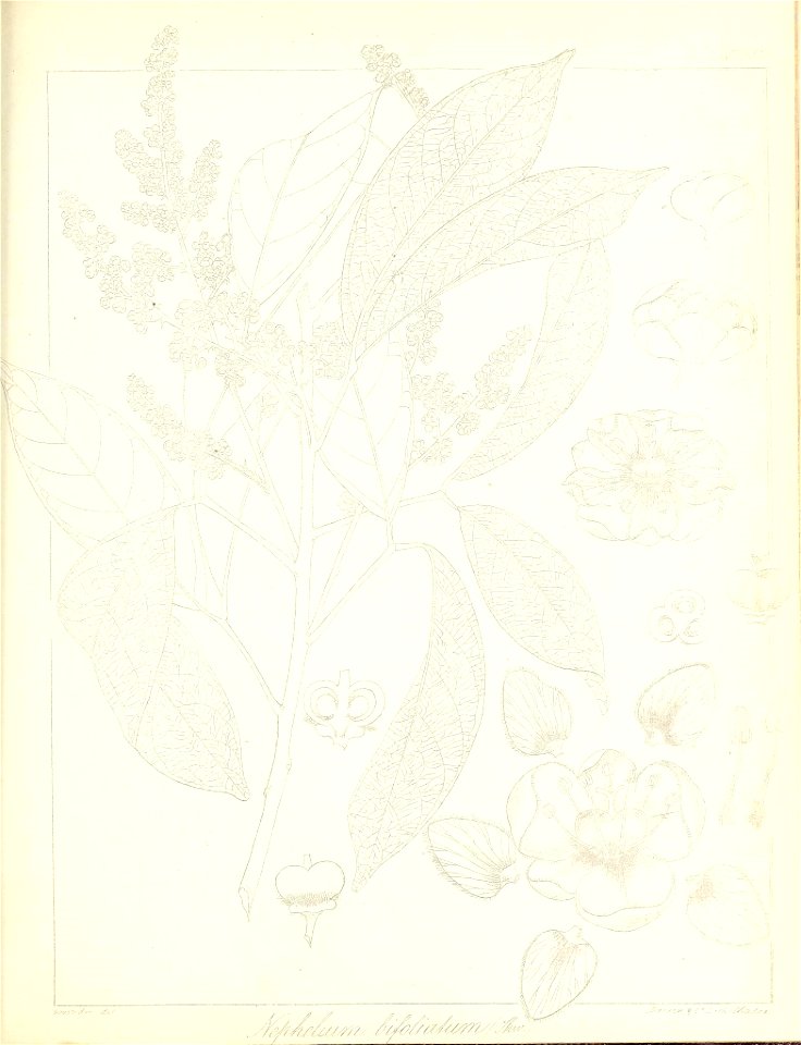 n658_w1150