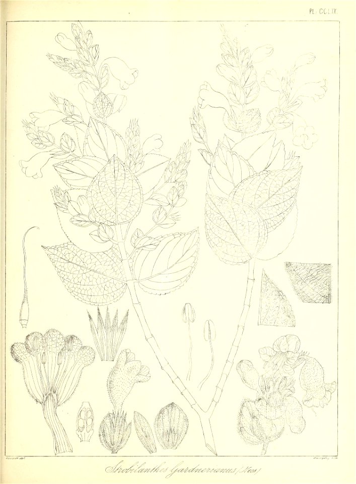 n590_w1150