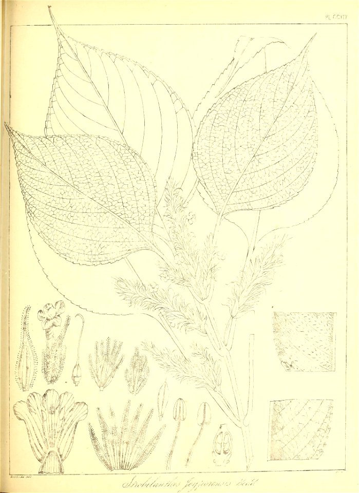 n490_w1150