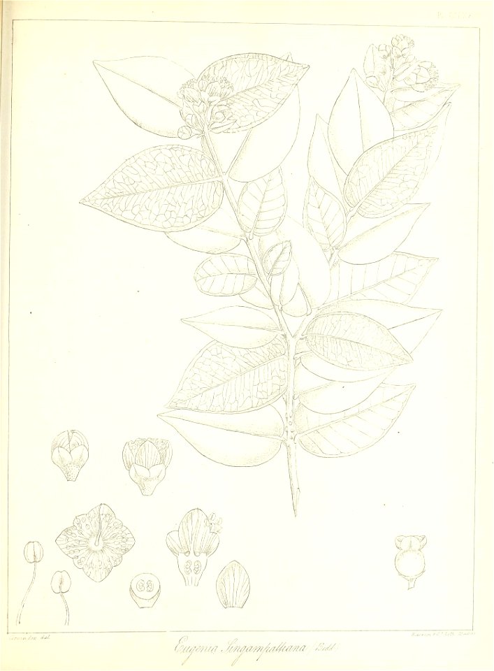 n622_w1150