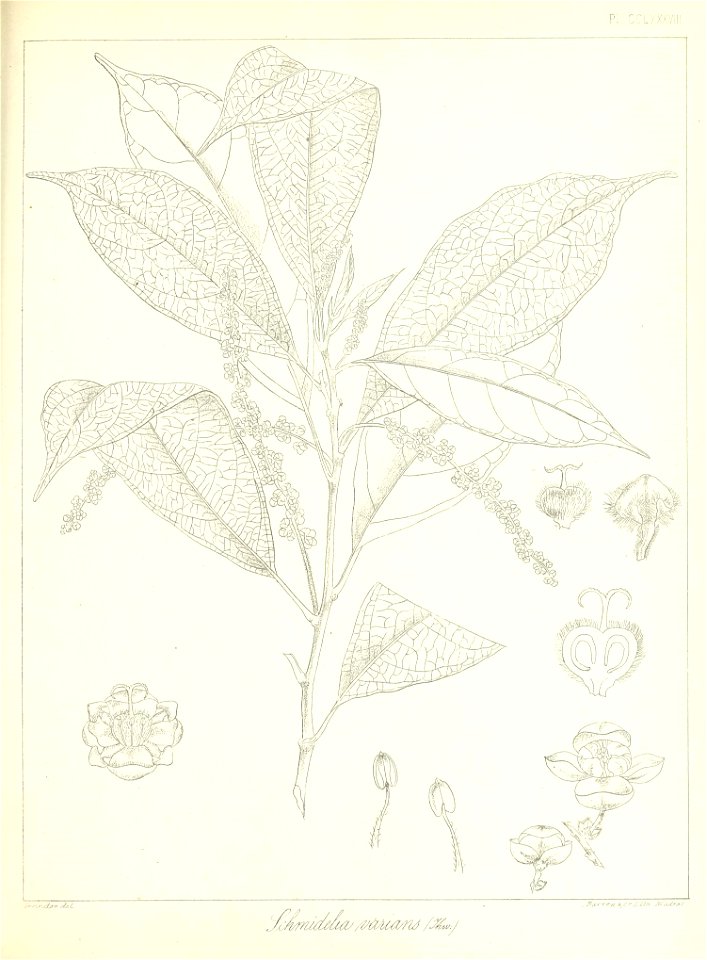 n656_w1150
