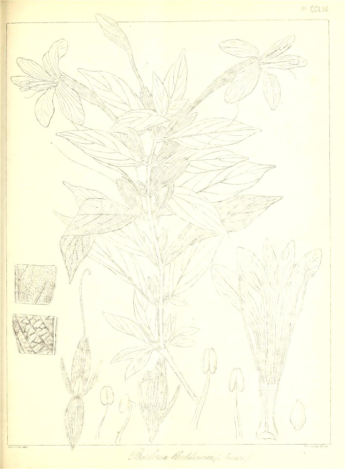 n588_w1150