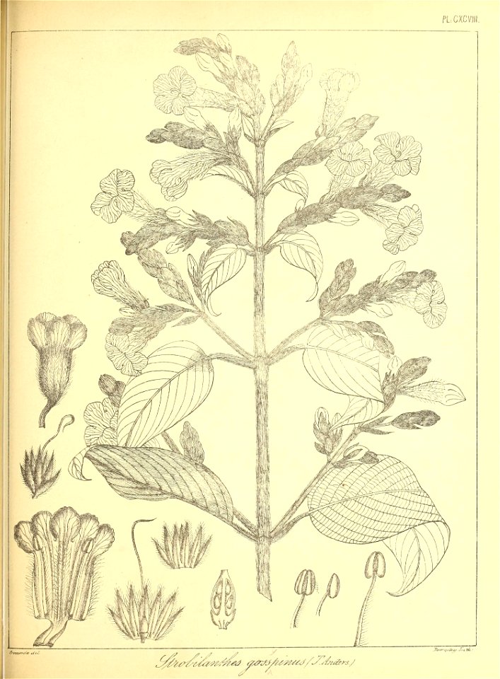 n452_w1150