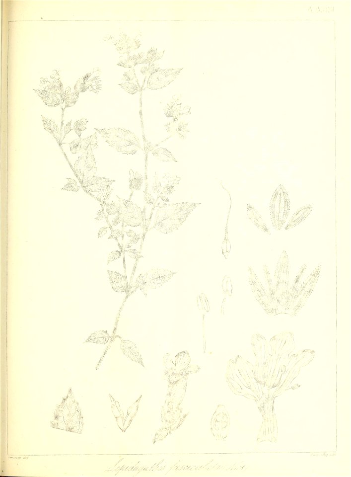 n524_w1150