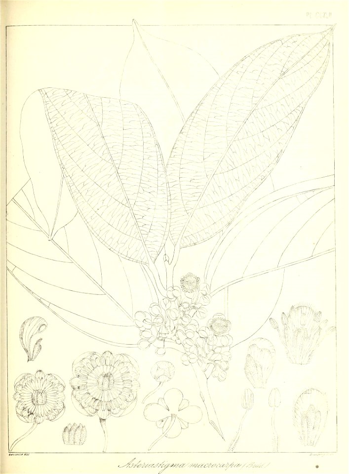 n556_w1150