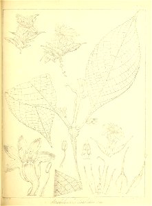 n486_w1150