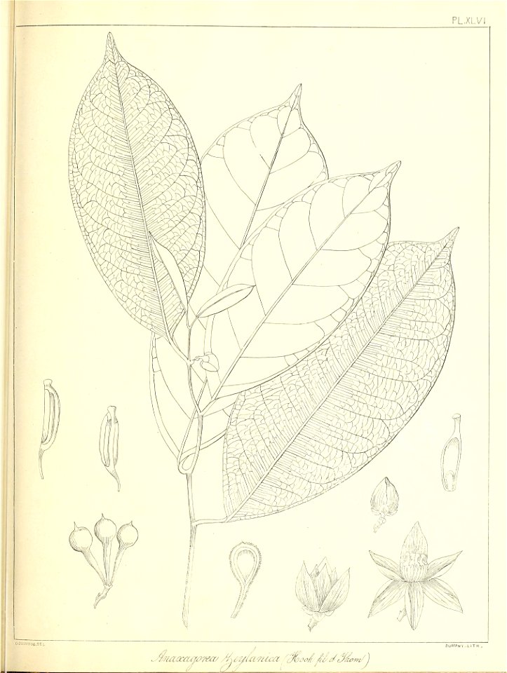 n116_w1150