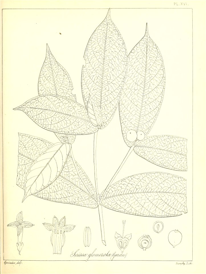 n48_w1150