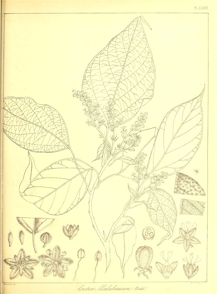 n418_w1150