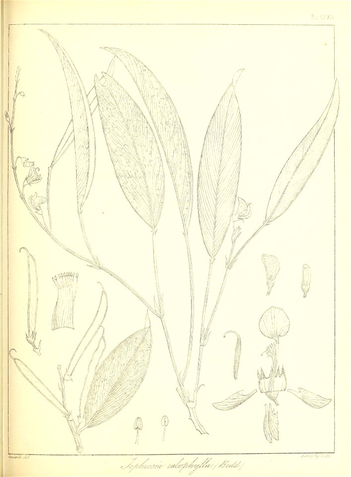 n382_w1150