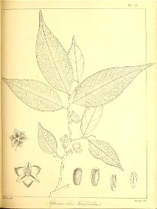 n212_w1150
