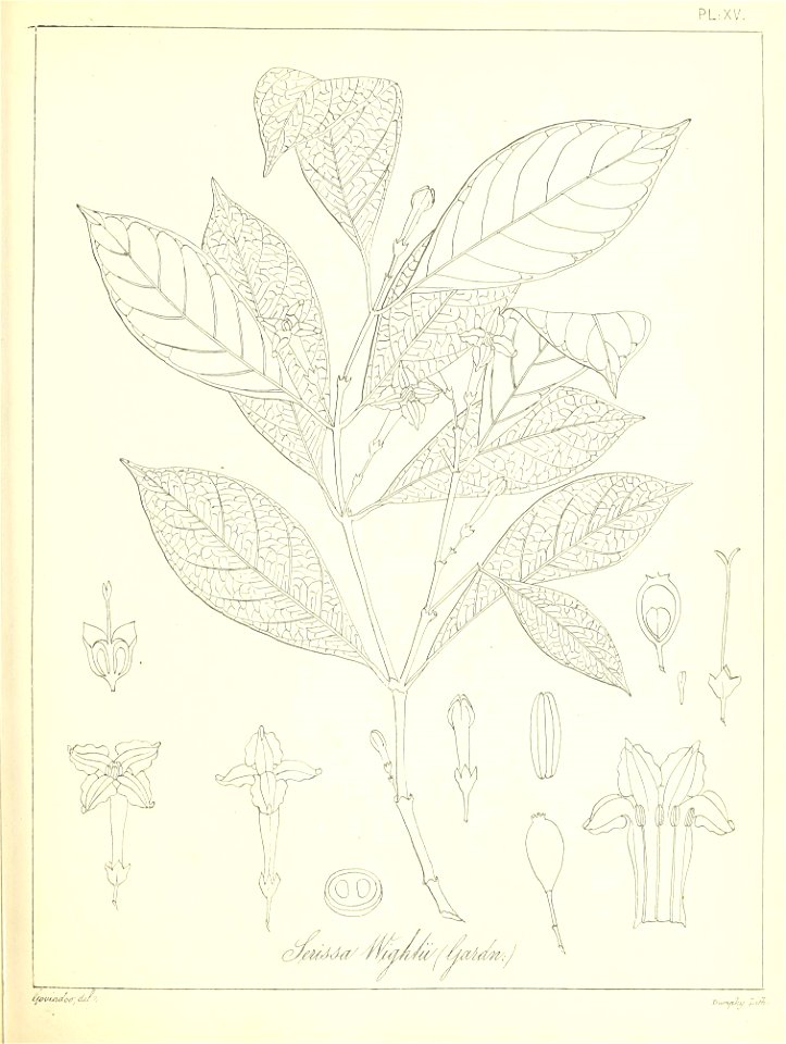 n46_w1150