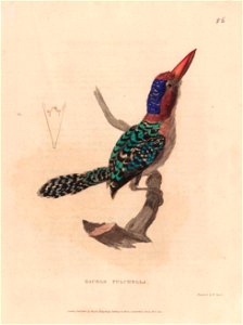 n533_w1150