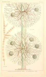 n248_w1150