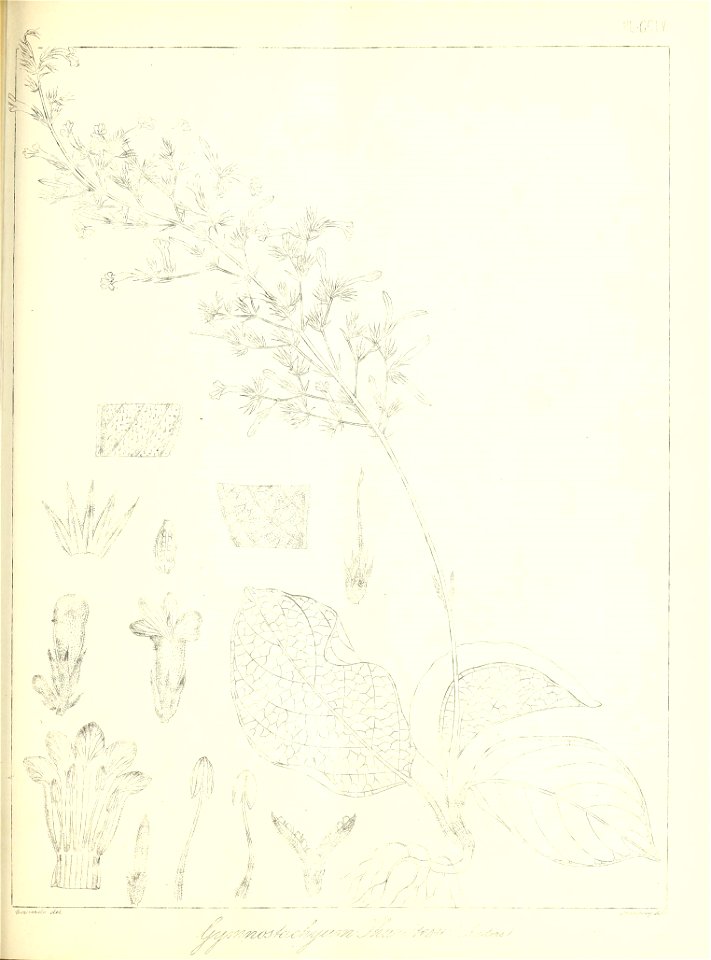 n582_w1150