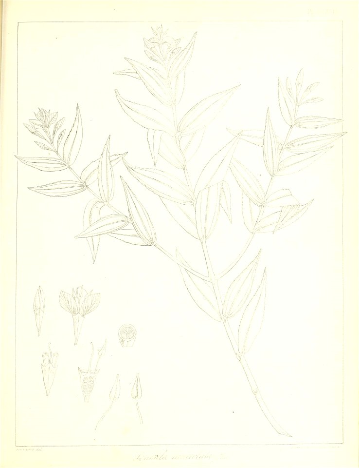 n678_w1150
