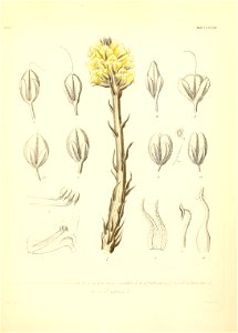 n562_w1150