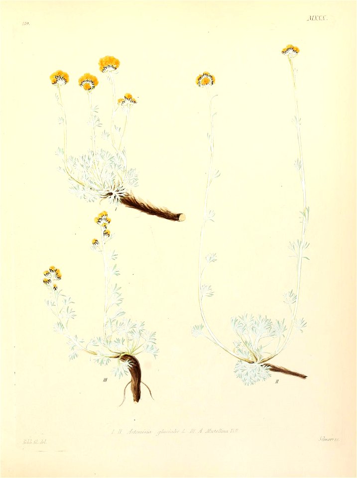 n372_w1150